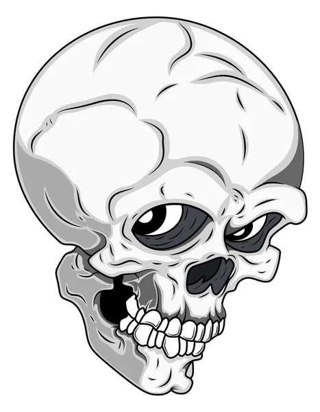 詳細な頭蓋骨のベクトル図 — ストックベクタ