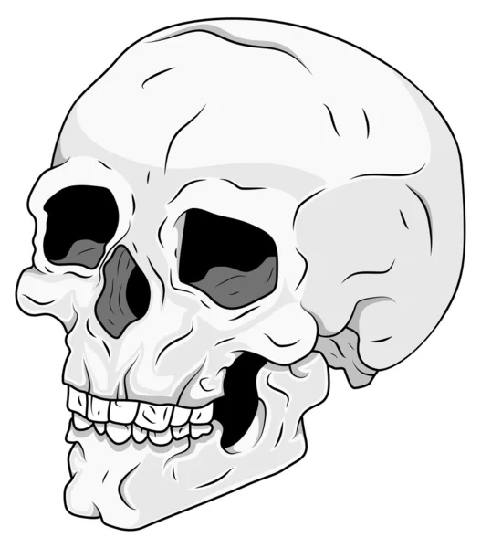 Ilustración de Stock de Skull Vector — Vector de stock