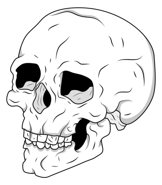 Cranio — Vettoriale Stock