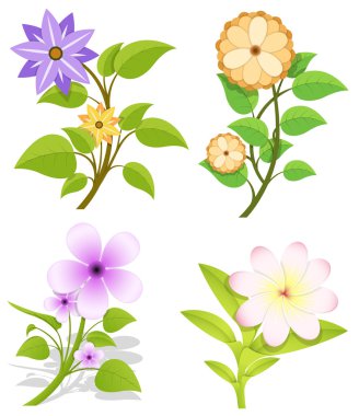 çiçekler vektör kümesi