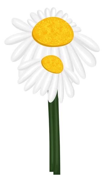 Belles fleurs blanches — Image vectorielle