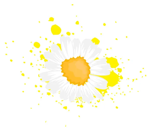 Beyaz çiçek Grunge splash üzerinde izole — Stok Vektör
