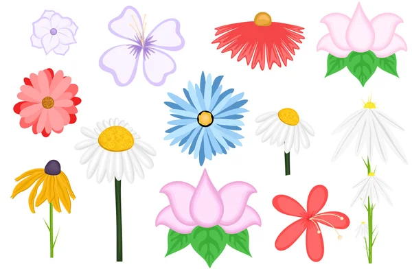 Vecteur de fleurs décoratives vintage — Image vectorielle