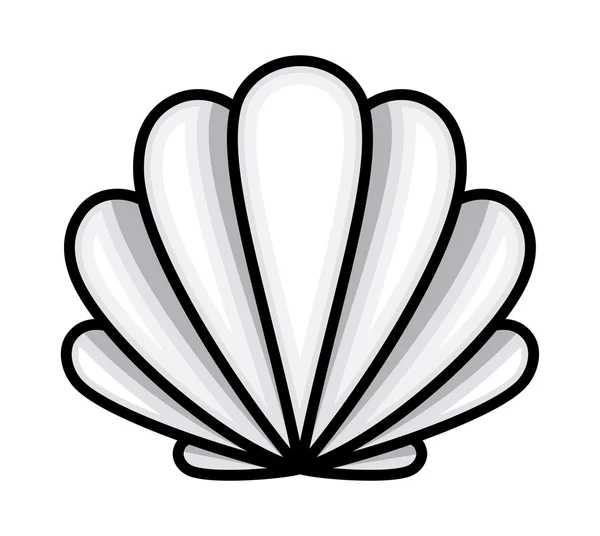 Deniz kabuğu - vektör karikatür çizim