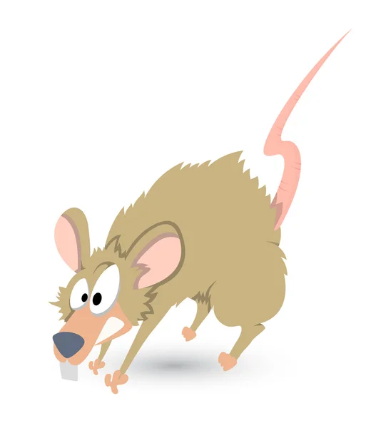Roliga råtta vektor — Stock vektor