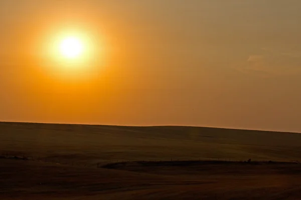 Atardecer tranquilo y solitario en las colinas de cosecha — Foto de Stock