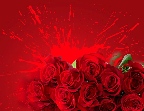 San Valentino Rose sfondo — Foto Stock