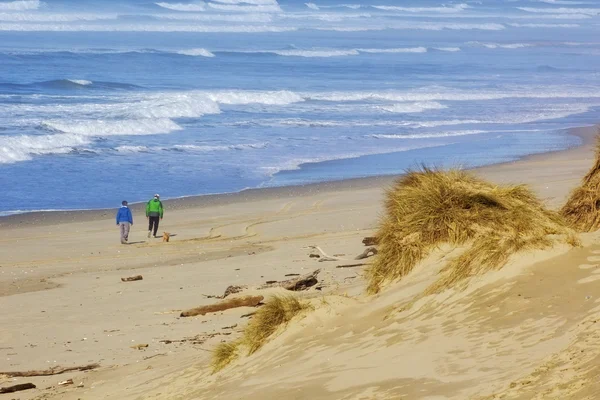 Duinen — Stockfoto