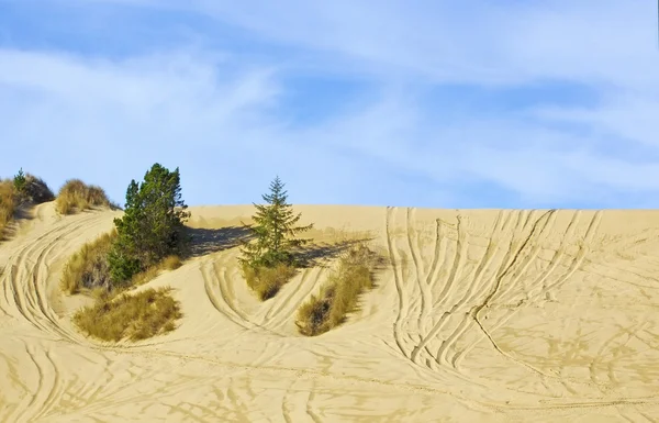 Дюны песчаной долины — стоковое фото