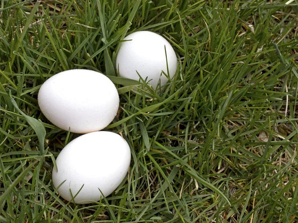 Three eggs — Stock Photo, Image