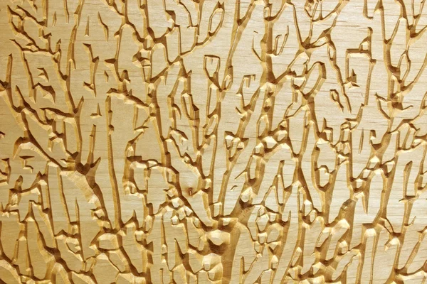 Sfondo in legno intagliato con texture — Foto Stock