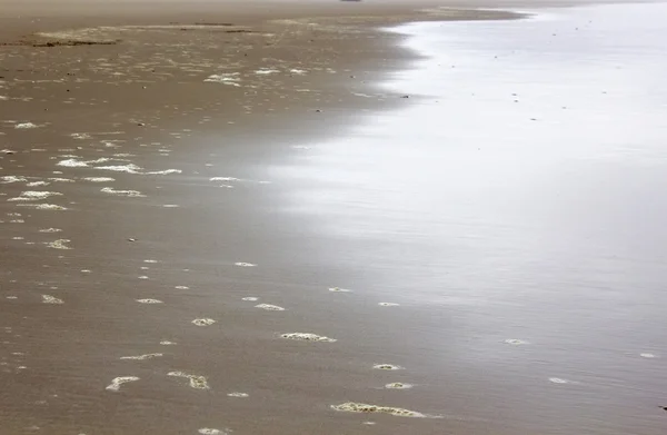 Wet beach — Stock Photo, Image