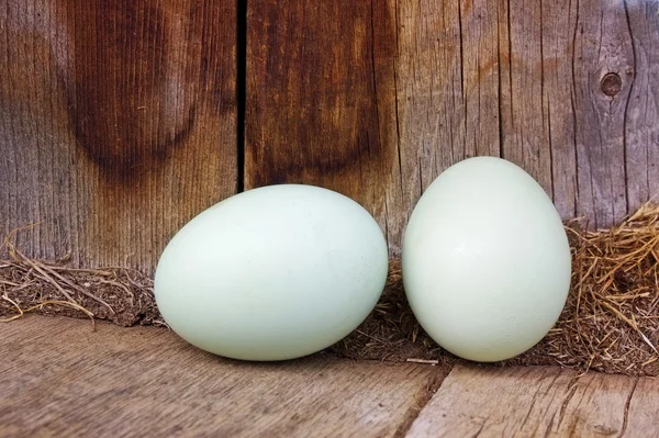Pereche de ouă — Fotografie, imagine de stoc
