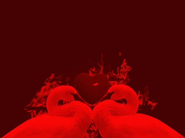 Oiseaux d'amour rouge avec coeur — Photo