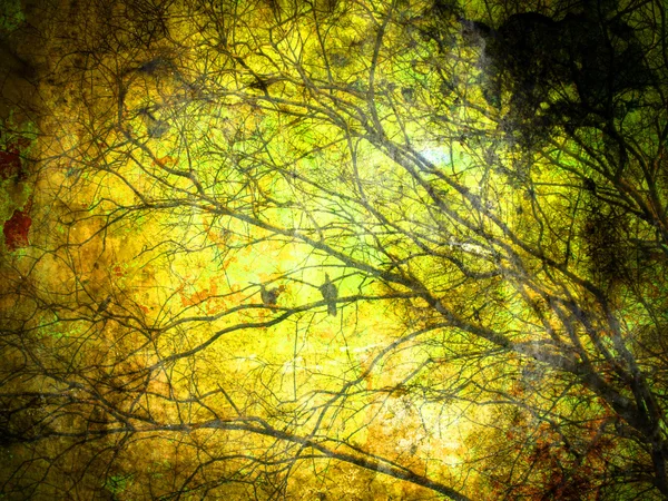 Grunge Retro Tree Texture Background — Stock Photo, Image