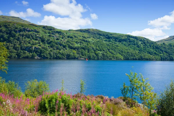 Scotland, loch lomond — Stock Photo, Image