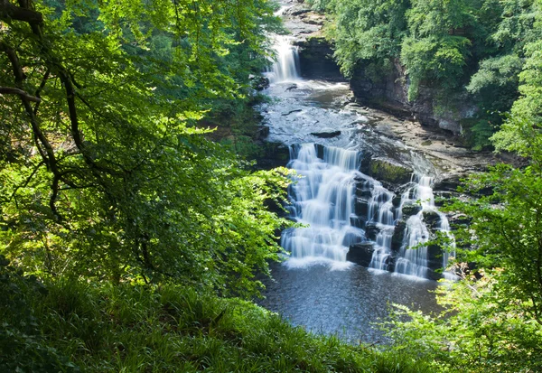 Cascata di Corra Linn Valle di Clyde — Foto Stock