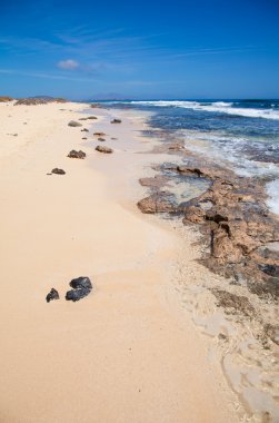 Fuerteventura, sıpa sahil kenarı