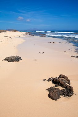 Fuerteventura, sıpa sahil kenarı