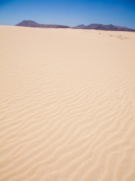 Dunas de areia do Corralejo — Fotografia de Stock