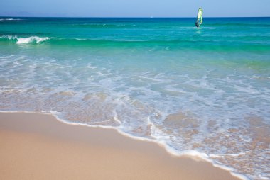 Fuerteventura, beyaz kum plaj