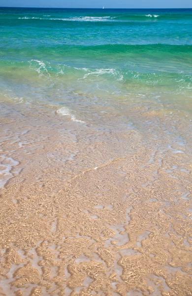 Fuerteventura, praia de areia branca — Fotografia de Stock