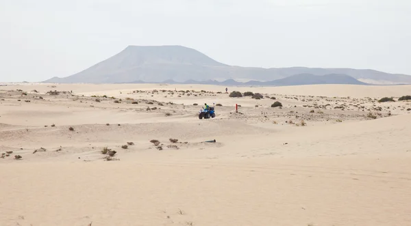 CORRALEJO - NOVEMBRO 03: Líder e vencedor da corrida masculina, Majid Belou — Fotografia de Stock