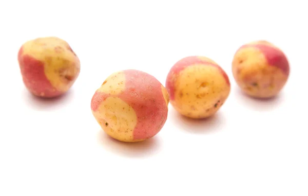 Variety of canarian potatoes — Stock Photo, Image