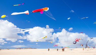 Fuerteventura, İspanya - Kasım 09: izleyiciler seyretmek--dan groun