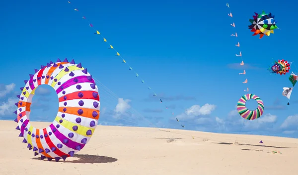 FUERTEVENTURA, ESPANHA - NOVEMBRO 09: Os espectadores assistem a partir do groun — Fotografia de Stock