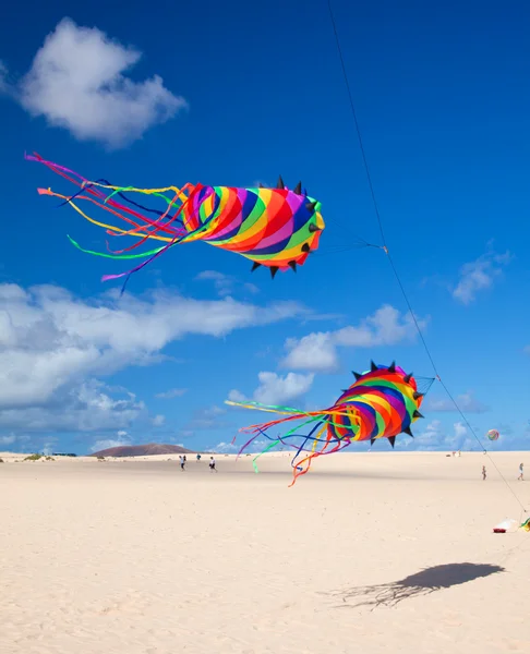 FUERTEVENTURA, ESPANHA - NOVEMBRO 09: Os espectadores assistem a partir do groun — Fotografia de Stock