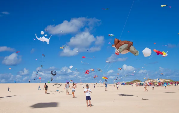 FUERTEVENTURA, SPAIN - NOVEMBER 09: Schoolkids fly little pink k — Stock Photo, Image