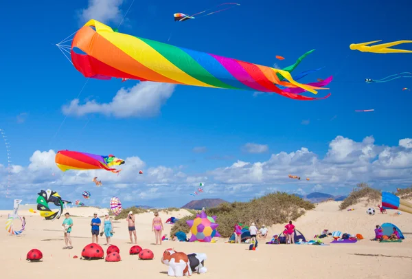 Fuerteventura, İspanya - Kasım 09: izleyiciler seyretmek--dan groun — Stok fotoğraf