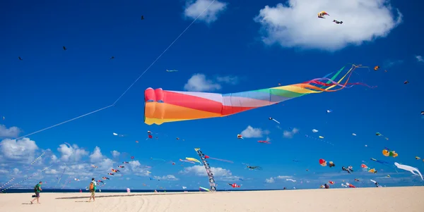 Fuerteventura, Spanje - 10 november: kijkers kijken van de groun — Stockfoto