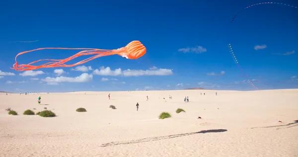 Fuerteventura, Spanje - november 09: kijkers kijken van de groun — Stockfoto