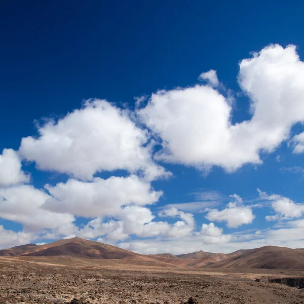 Fuerteventura, Kanarieöarna — Stockfoto