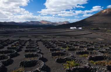 La Geria, Lanzarote