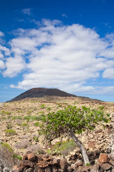 Malpais de la Arena — Foto Stock