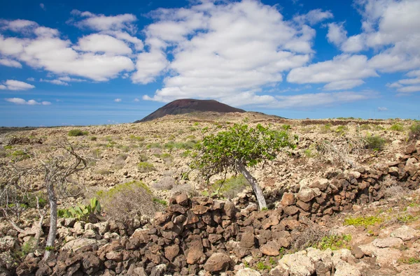 Malpais De La Arena — Stockfoto