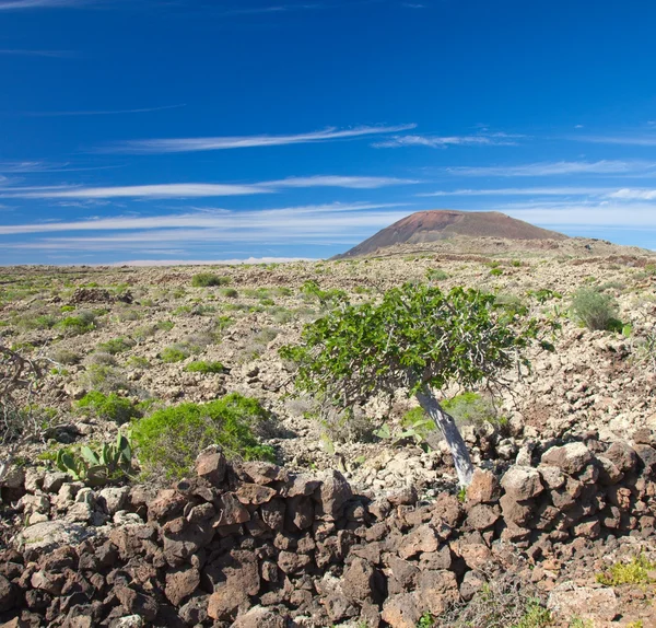 Binnenland fuerteventura; — Stockfoto