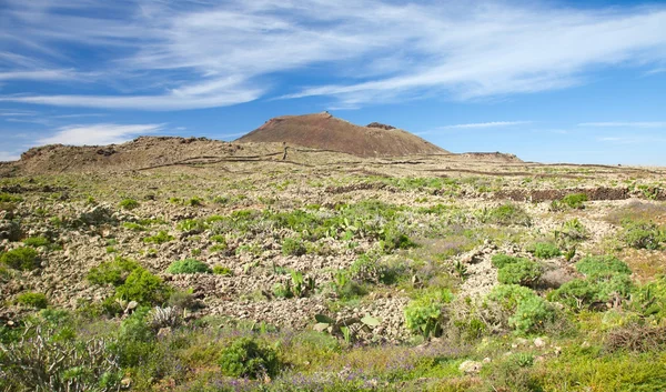 Fuerteventura interior ; — Fotografia de Stock