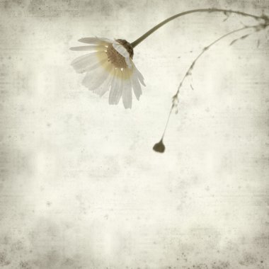 desenli eski kağıt arkaplan