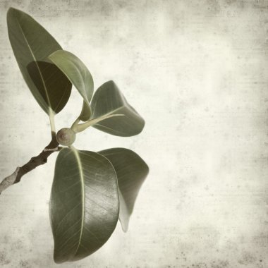 desenli eski kağıt arkaplan