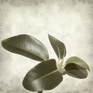 desenli eski kağıt arkaplan