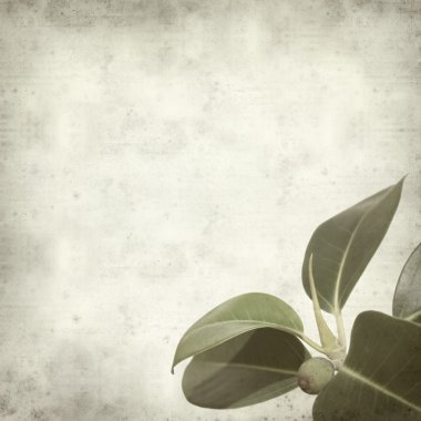 desenli eski kağıt arkaplan