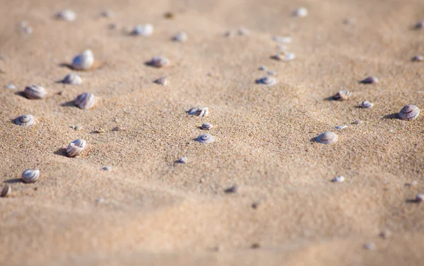 รูปแบบทราย — ภาพถ่ายสต็อก