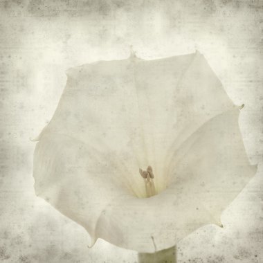 desenli eski kağıt arkaplan