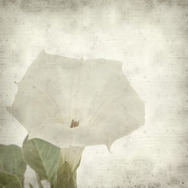 desenli eski kağıt arkaplan