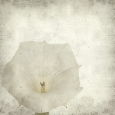 desenli eski kağıt arkaplan