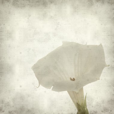 desenli eski kağıt arkaplan